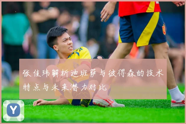 张佳玮解析迪班萨与彼得森的技术特点与未来潜力对比