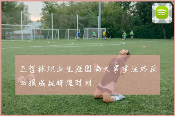 王哲林职业生涯圆满久事重注终获回报成就辉煌时刻