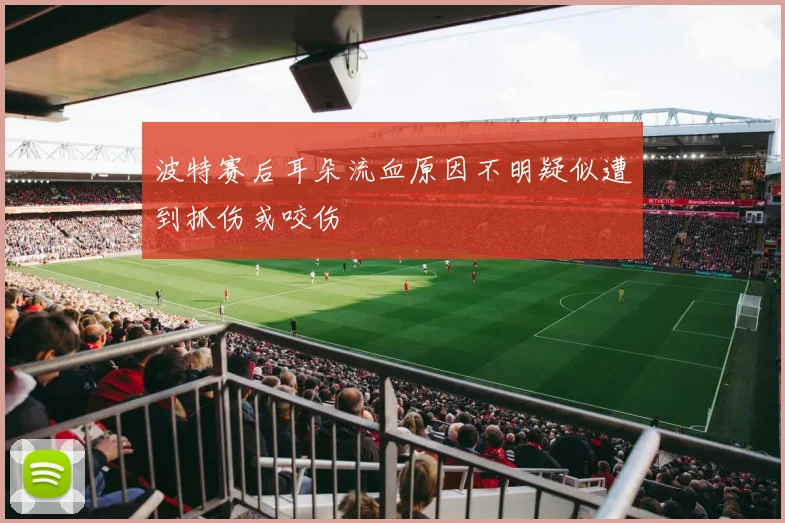 波特赛后耳朵流血原因不明疑似遭到抓伤或咬伤