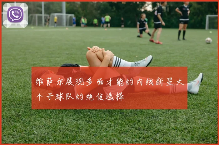 维萨尔展现多面才能的内线新星大个子球队的绝佳选择