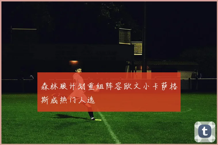 森林狼计划重组阵容欧文小卡萨格斯成热门人选