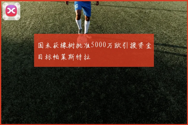 国米获橡树批准5000万欧引援资金目标帕莱斯特拉